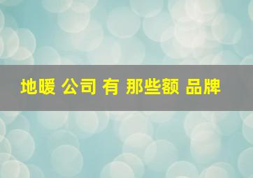 地暖 公司 有 那些额 品牌